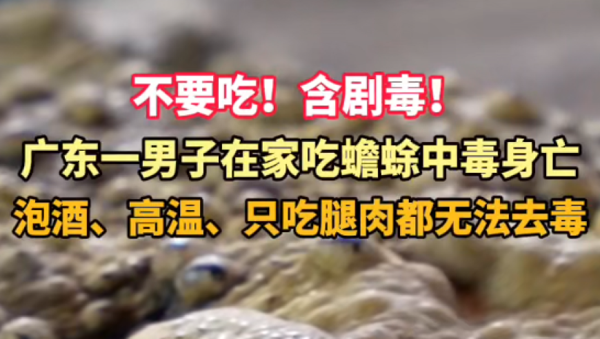 韩安冉前夫小猪先生患精神病,管家婆一码一肖免费公开,收益成语分析落实_户外版V11.42