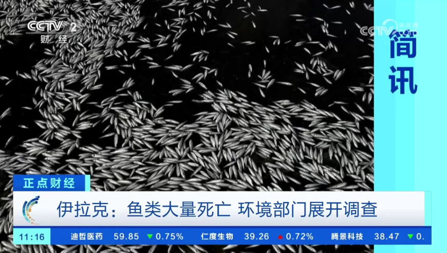 澳门六开彩开奖结果查询免费,借贷宝暂停新增欠条服务,决策资料解释落实_潮流版V13.28