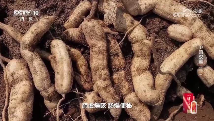 澳门四肖八码期期准免费公开的占卜预测,字节因抄袭被判赔近8267万,决策资料解释落实_高清版V7.40